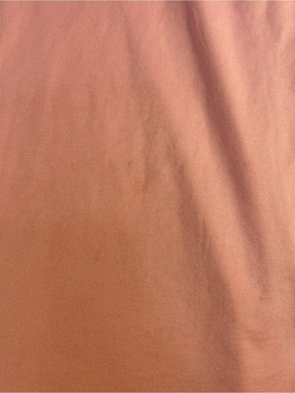 Polo by Ralph Lauren Light Pink Polo with Navy Logo